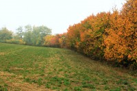 /album/levice-a-okolie/mg-5733-jpg/