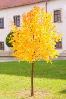 /album/levice-a-okolie/mg-5750-jpg/