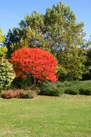 /album/levice-a-okolie/mg-5805-jpg/